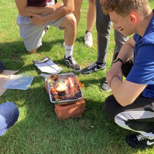Year 12 Festival